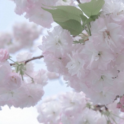 Furry插画背景绘制兽圈群